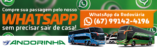 Andorinha - WhatsApp
