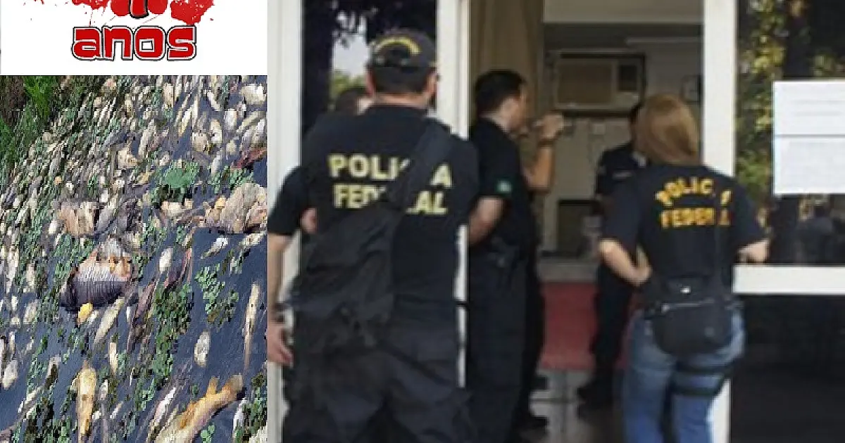 Vergonha e impunidade