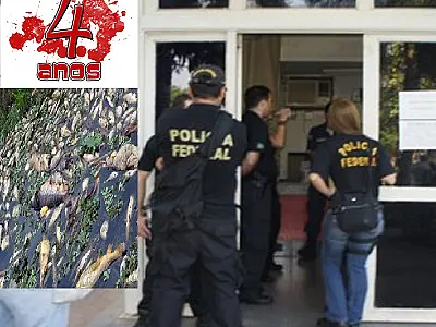 Vergonha e impunidade