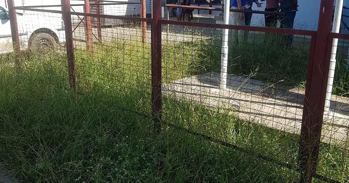 Deputada visita Hemonúcleo de Corumbá e constata caos