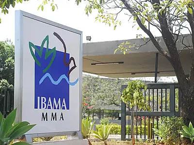 Governo autoriza nomeação de 460 aprovados em concurso do Ibama