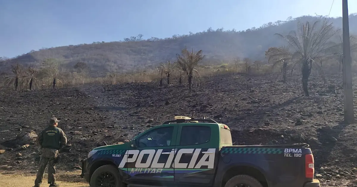 Operação Prolepse ajuda a reduzir em 72% os focos de calor em MS