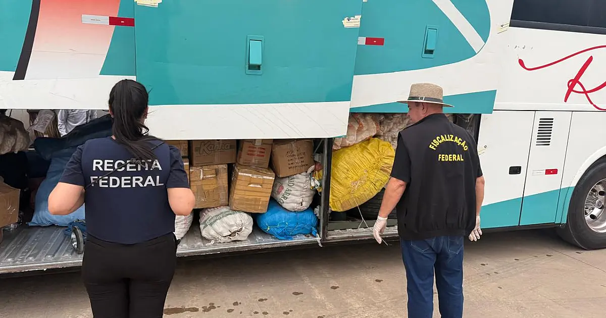 Operação interagências apreende drogas, mercadorias irregulares e fetos de Lhamas