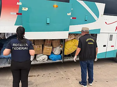 Operação interagências apreende drogas, mercadorias irregulares e fetos de Lhamas