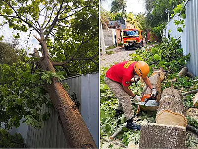 Queda de árvore bloqueia portão de residência no bairro Aeroporto