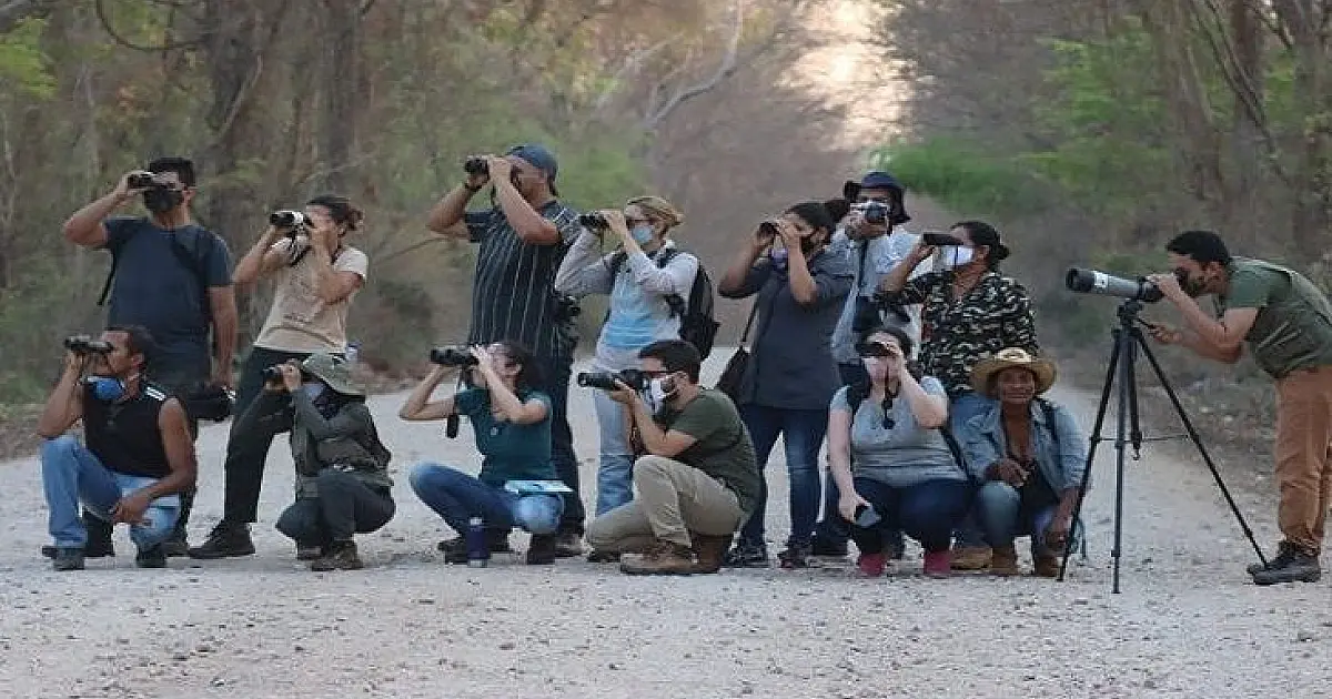 Evento "Vem Passarinhar MS" promove o birdwatching em Corumbá