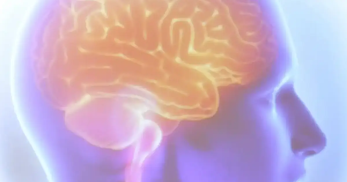 Projeto Ártemis avalia genética de pacientes que sofreram AVC