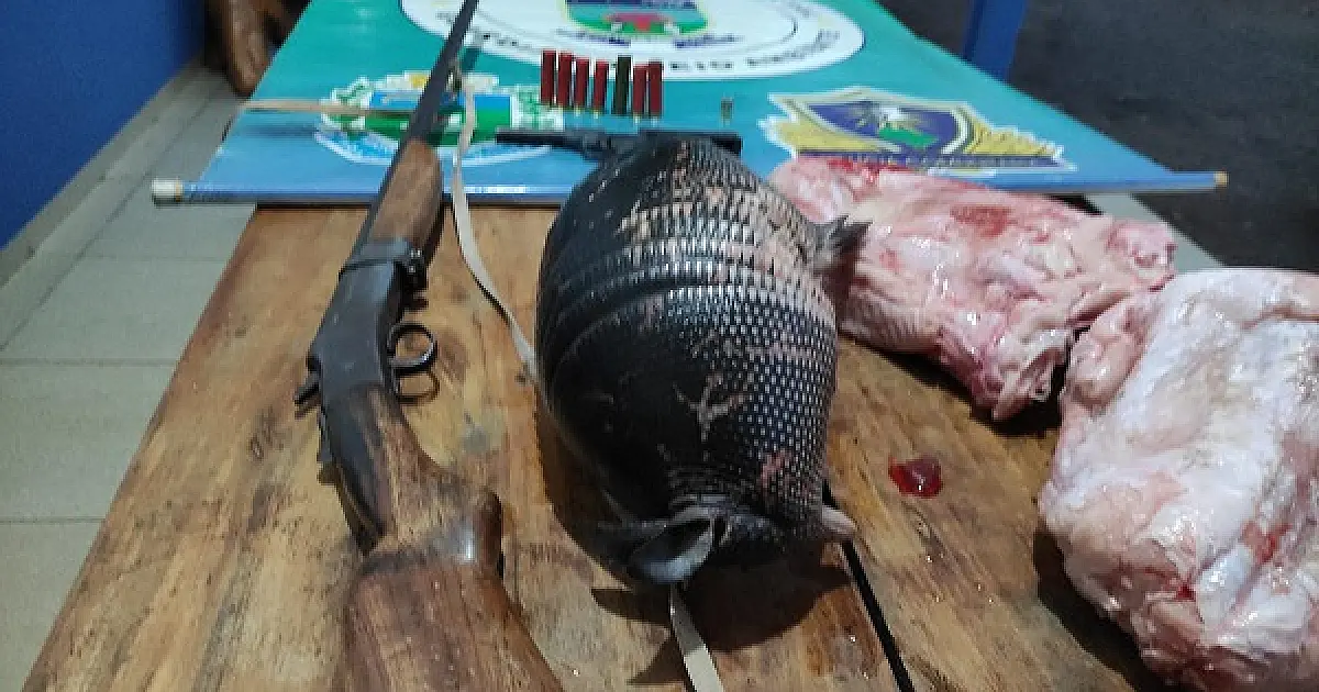 PMA surpreende caçador com tatu batido e carne de sucuri, armas e munições ilegais