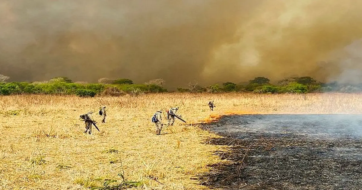Alerta meteorológico aponta para a pior estiagem da história em 2025