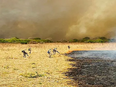 Alerta meteorológico aponta para a pior estiagem da história em 2025