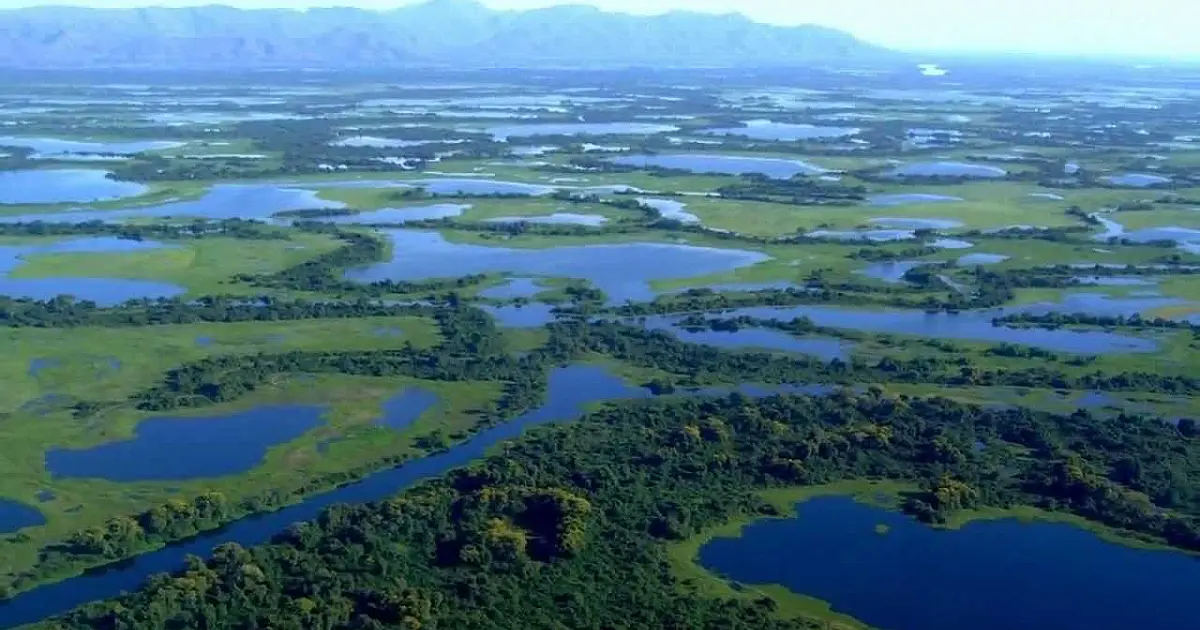 Pantanal mantém título interncaional de Reserva da Biosfera
