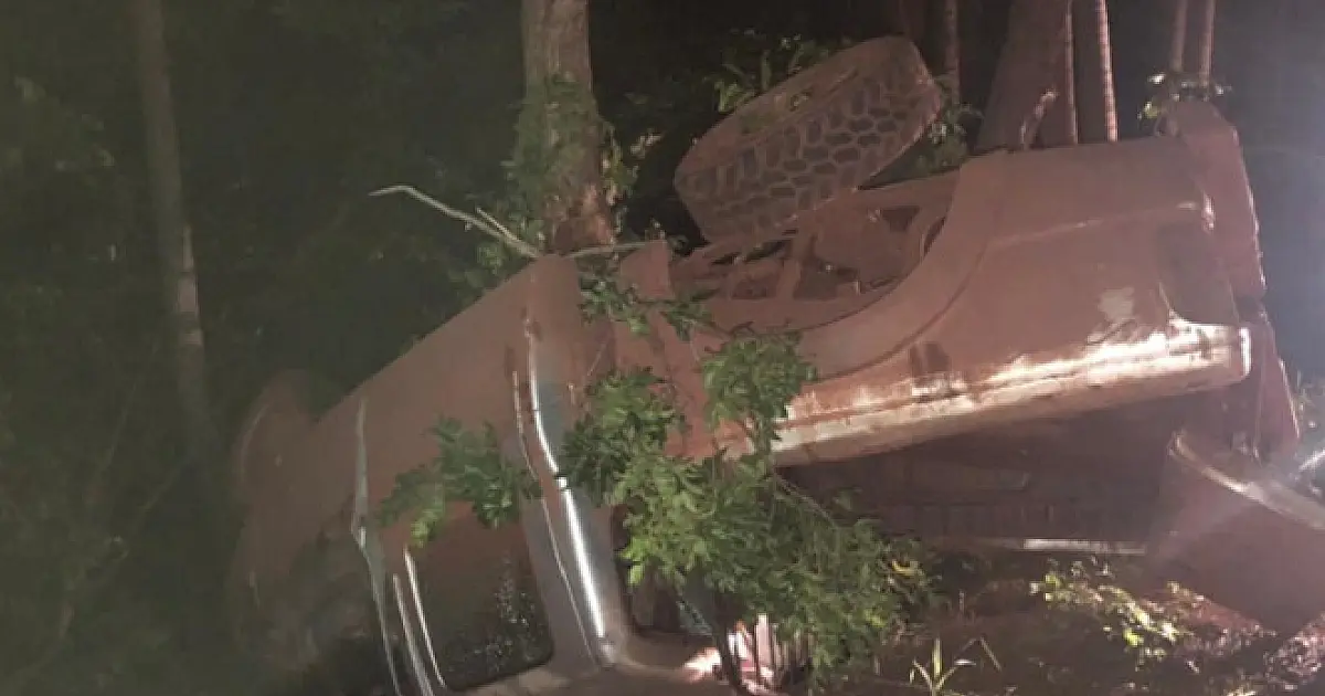 Casal fica ferido após carro colidir em anta na BR 262