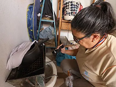 MS registra 8.384 casos confirmados de dengue