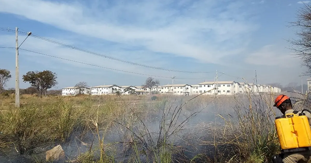 Tempo seco facilita incêndios; ação humana é a principal causa
