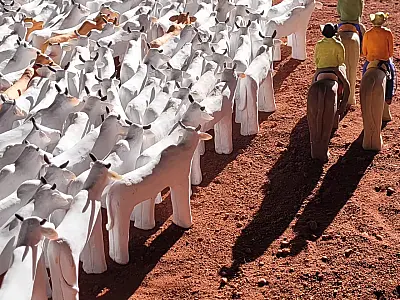Artistas de MS integram lista da 2ª Bienal das Amazônias em Belém