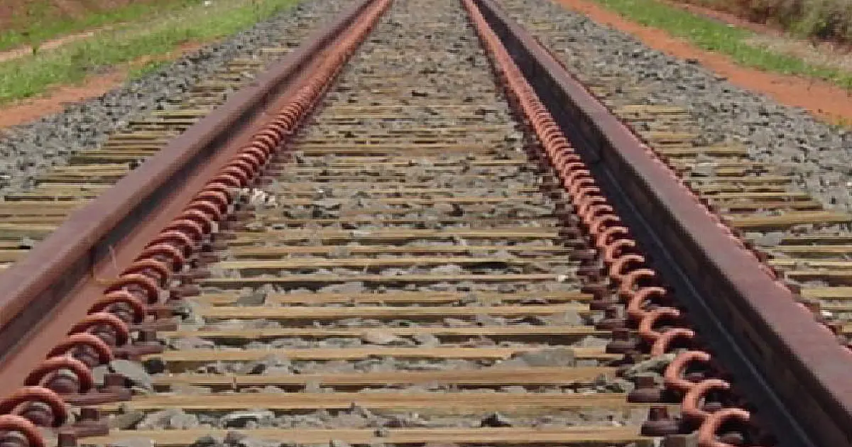 Ramal ferroviário pode ser  salvação para ferrovia no Estado