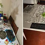 Operação contra tráfico de drogas prende dois e fecha pontos de venda