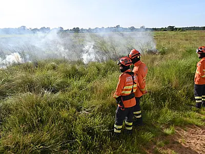 Balanço da Operação Pantanal 2025 registra redução histórica de focos e área queimada