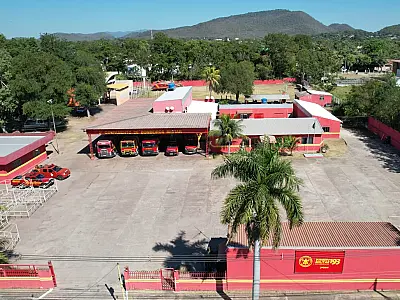 Cortes e vistorias em árvores são destaques no plantão dos Bombeiros