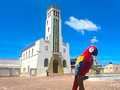 Revitalização transforma arara de Ladário em símbolo de arte e cultura