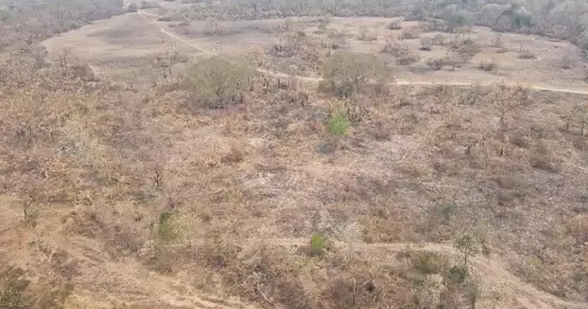 Proprietários de fazenda em Corumbá terão que recuperar área queimada em 2024