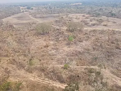 Proprietários de fazenda em Corumbá terão que recuperar área queimada em 2024