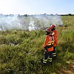 Força-tarefa cria "cinturão preventivo" contra incêndios no Pantanal