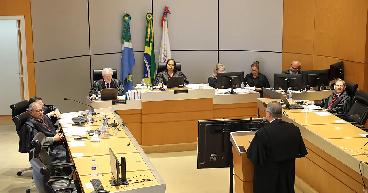 TJMS condena cuidadora e plataforma digital por morte de cão durante hospedagem