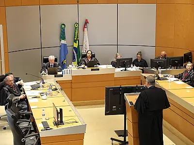 TJMS condena cuidadora e plataforma digital por morte de cão durante hospedagem