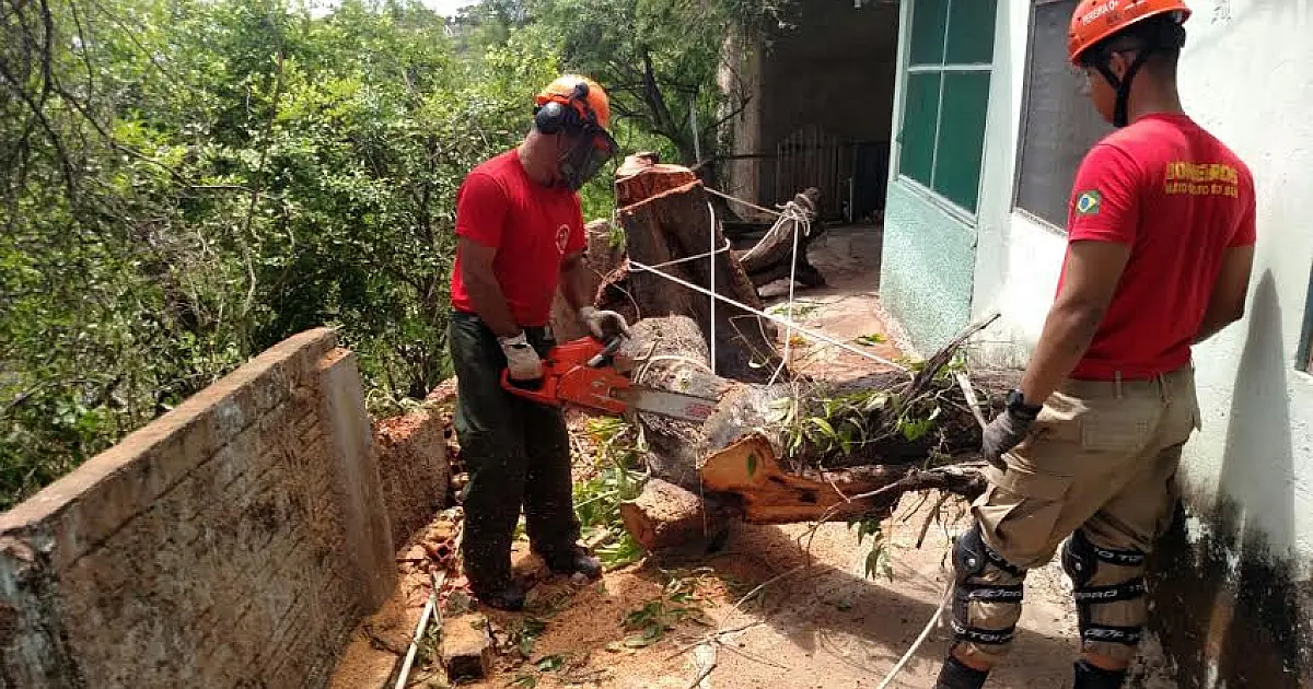 Bombeiros cortam árvore que ameaçava despencar sobre casas