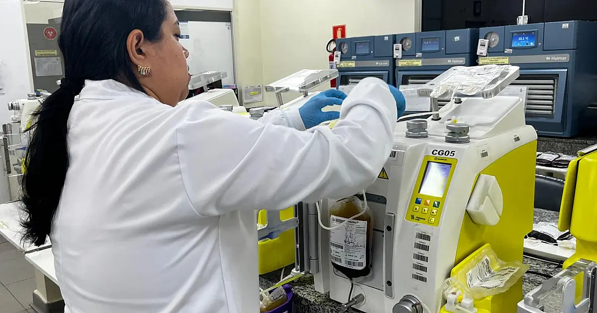 Do doador ao paciente: o percurso do sangue em Mato Grosso do Sul para salvar muitas vidas