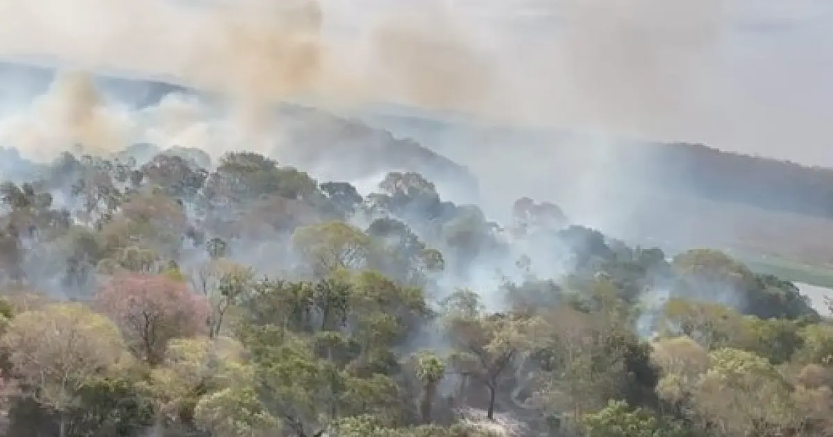 Após incêndios em 2024, MPMS planeja ações preventivas no Pantanal