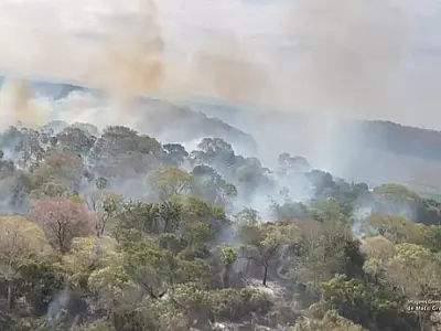 Após incêndios em 2024, MPMS planeja ações preventivas no Pantanal