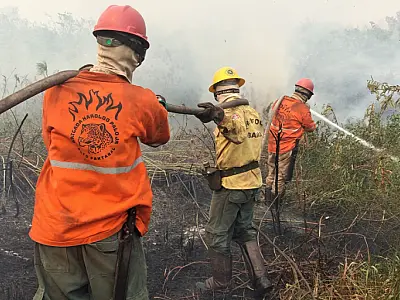 Pantanal é o bioma mais atingido por incêndios nos últimos 40 anos, diz relatório do MapBiomas