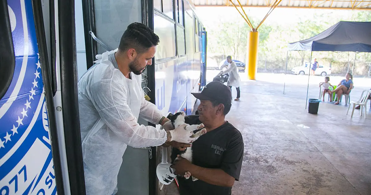 Caravana da Castração encerra atendimentos esta semana em Corumbá