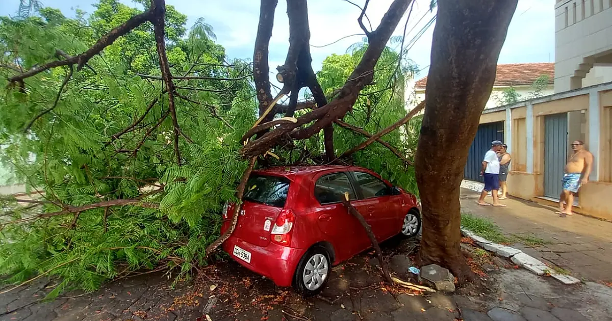 Chuva derruba árvores em Corumbá; uma delas sobre carro estacionado