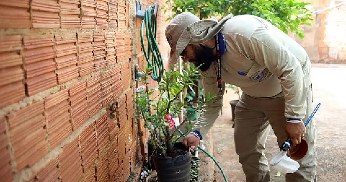 Saúde de MS mobiliza oito mil agentes para debater atuação integrada no SUS