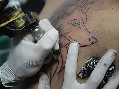 CFM proíbe anestesia para a realização de tatuagens