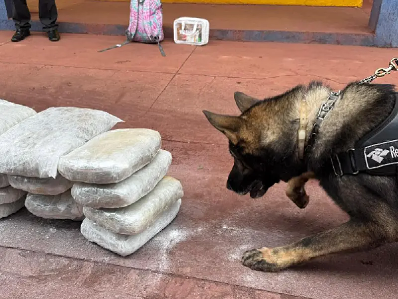 Ônibus que seguia para São Paulo é interceptado com 15 kg de skunk em Corumbá