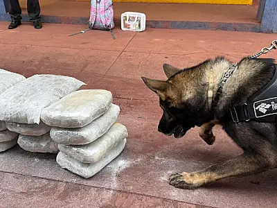 Ônibus que seguia para São Paulo é interceptado com 15 kg de skunk em Corumbá