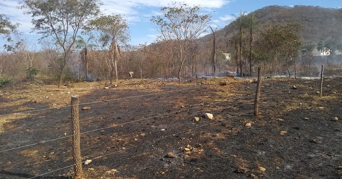 Em Corumbá bombeiros combatem incêndio em vegetação