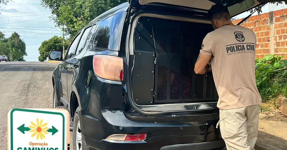 Homem é preso por divulgar de pornografia infantil em Corumbá