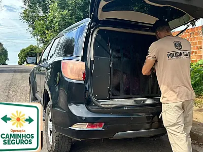 Homem é preso por divulgar de pornografia infantil em Corumbá