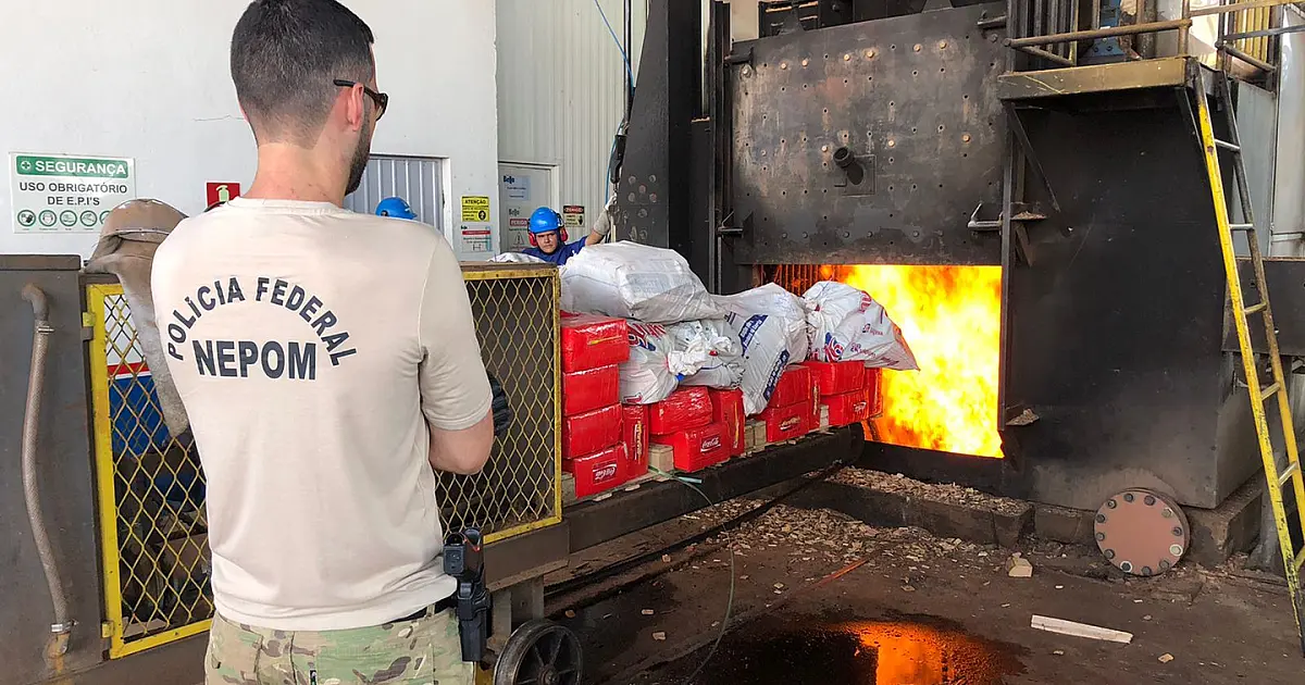 Polícia Federal incinera 5 toneladas de maconha