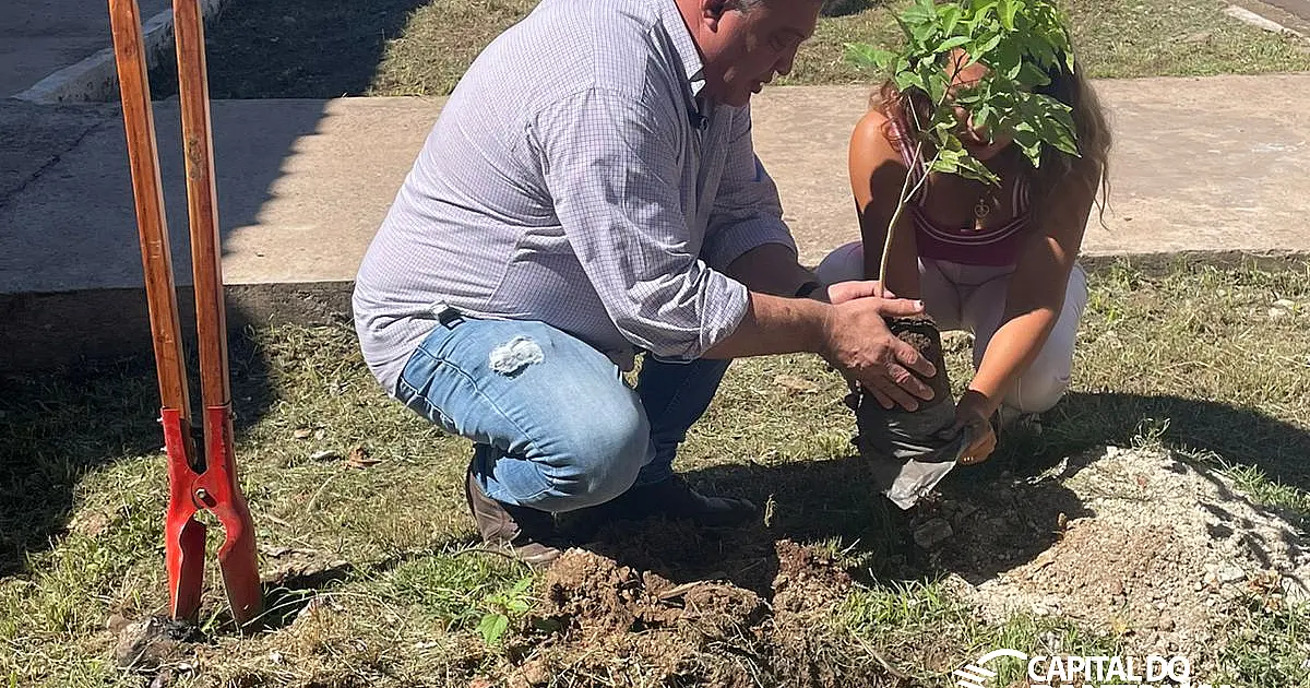 Ladário inicia ação de arborização em frente às escolas do município