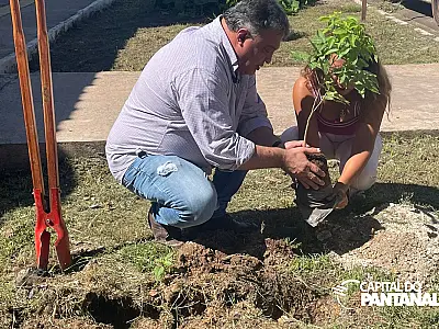 Ladário inicia ação de arborização em frente às escolas do município