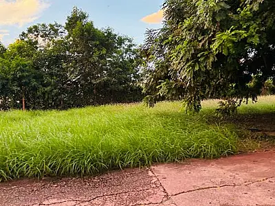 Hanna pede prioridade na limpeza de vias públicas que dão acesso à escolas e praças