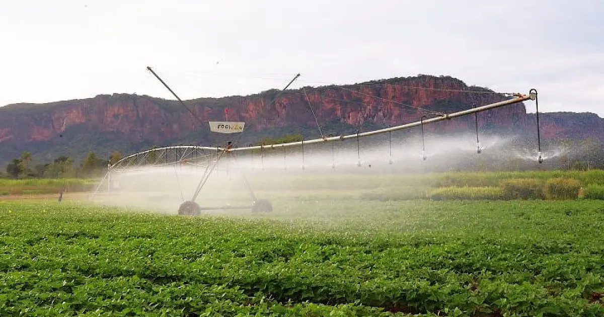 Pantanal Tech MS se consolida como vitrine do agro sustentável e fomento tecnológico