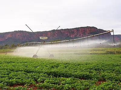 Pantanal Tech MS se consolida como vitrine do agro sustentável e fomento tecnológico