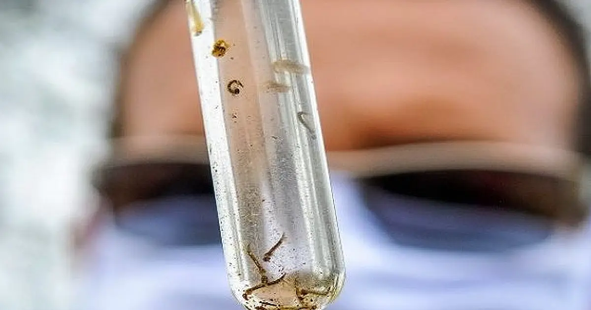 MS registra 15.913 casos confirmados de dengue